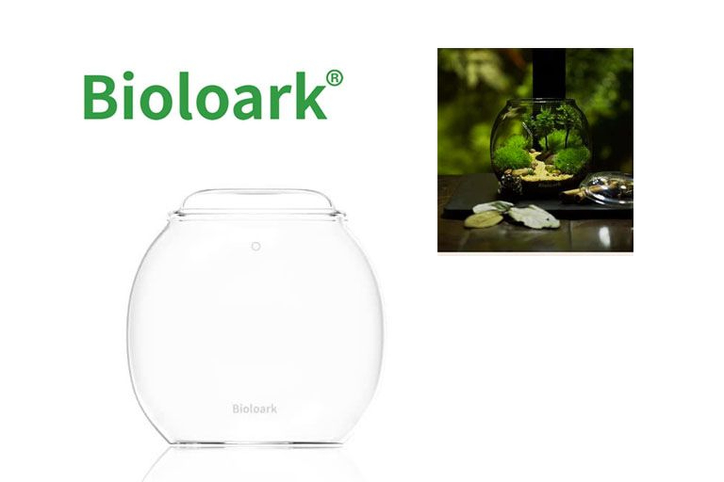 Bioloark Bubble Cup THREE, Wabi-Kusa Glas